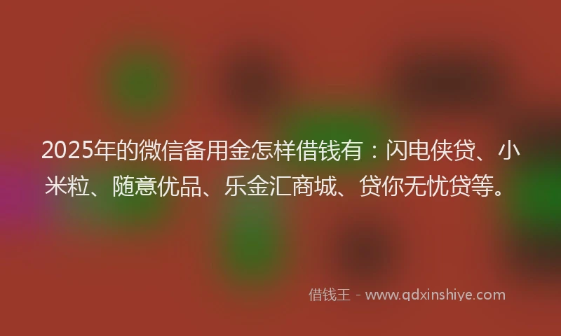 2025年的微信备用金怎样借钱有：闪电侠贷、小米粒、随意优品、乐金汇商城、贷你无忧贷等。