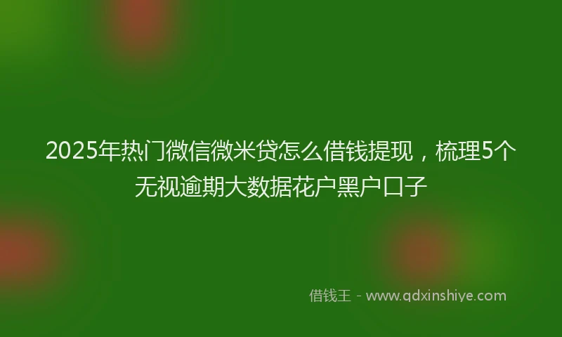 2025年热门微信微米贷怎么借钱提现，梳理5个无视逾期大数据花户黑户口子