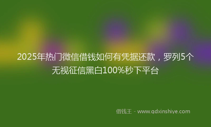 2025年热门微信借钱如何有凭据还款，罗列5个无视征信黑白100%秒下平台