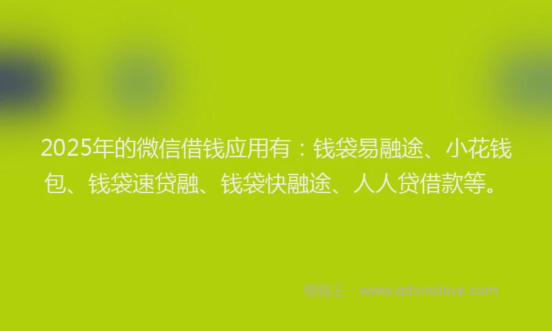 2025年的微信借钱应用有：钱袋易融途、小花钱包、钱袋速贷融、钱袋快融途、人人贷借款等。