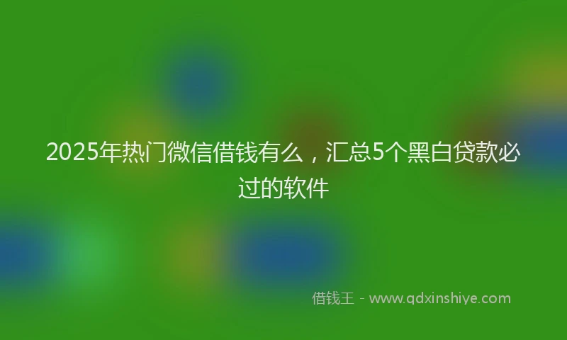2025年热门微信借钱有么，汇总5个黑白贷款必过的软件