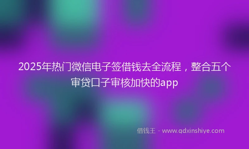 2025年热门微信电子签借钱去全流程，整合五个审贷口子审核加快的app