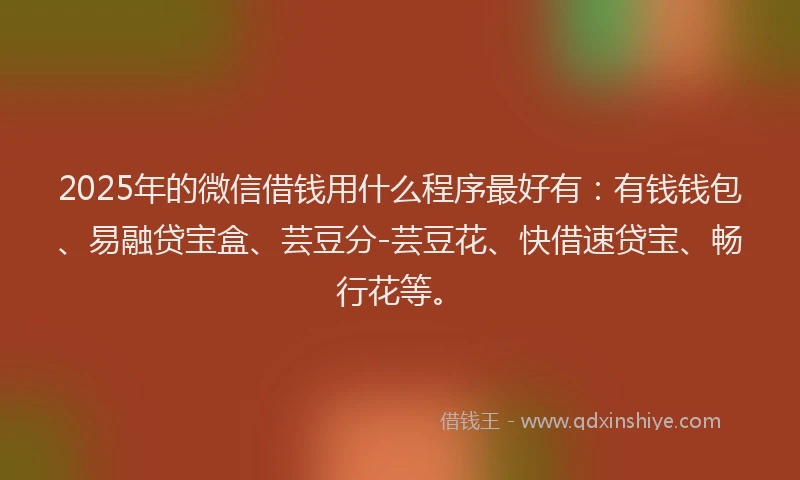 2025年的微信借钱用什么程序最好有：有钱钱包、易融贷宝盒、芸豆分-芸豆花、快借速贷宝、畅行花等。