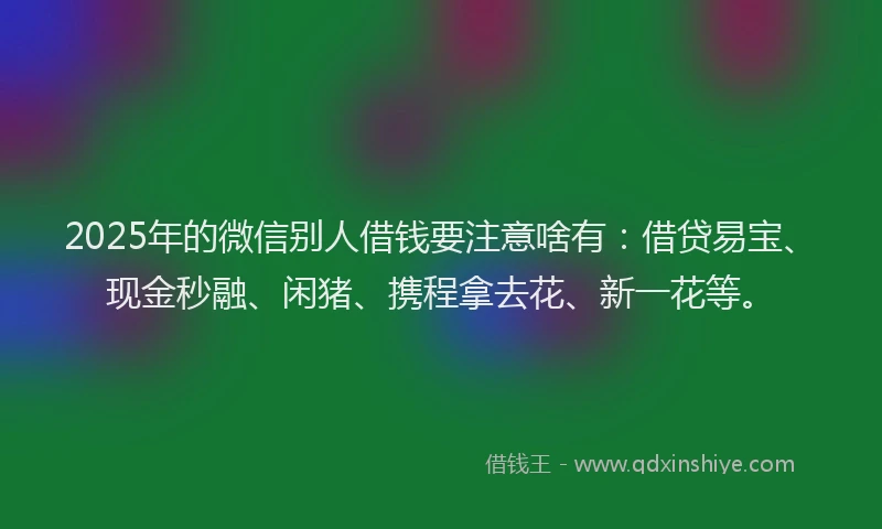 2025年的微信别人借钱要注意啥有：借贷易宝、现金秒融、闲猪、携程拿去花、新一花等。