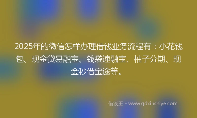 2025年的微信怎样办理借钱业务流程有：小花钱包、现金贷易融宝、钱袋速融宝、柚子分期、现金秒借宝途等。