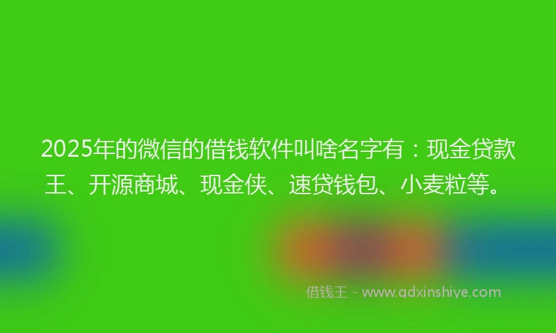 2025年的微信的借钱软件叫啥名字有：现金贷款王、开源商城、现金侠、速贷钱包、小麦粒等。