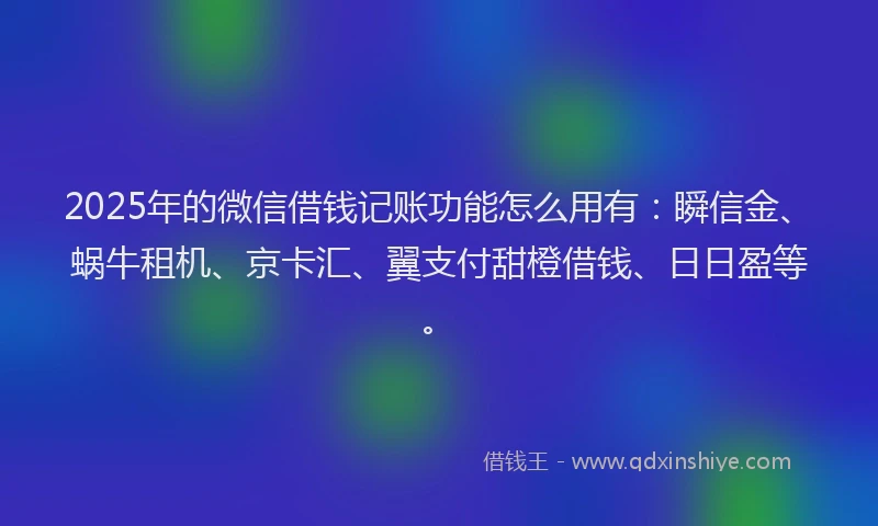2025年的微信借钱记账功能怎么用有：瞬信金、蜗牛租机、京卡汇、翼支付甜橙借钱、日日盈等。