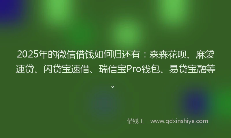 2025年的微信借钱如何归还有：森森花呗、麻袋速贷、闪贷宝速借、瑞信宝Pro钱包、易贷宝融等。