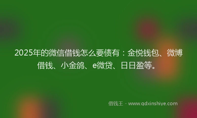 2025年的微信借钱怎么要债有：金悦钱包、微博借钱、小金鸽、e微贷、日日盈等。