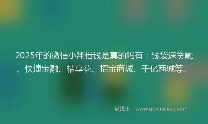 2025年的微信小翔借钱是真的吗有：钱袋速贷融、快捷宝融、桔享花、招宝商城、千亿商城等。