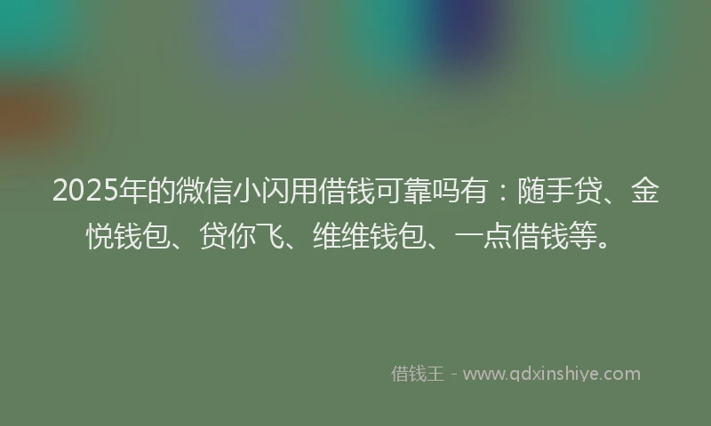 2025年的微信小闪用借钱可靠吗有：随手贷、金悦钱包、贷你飞、维维钱包、一点借钱等。