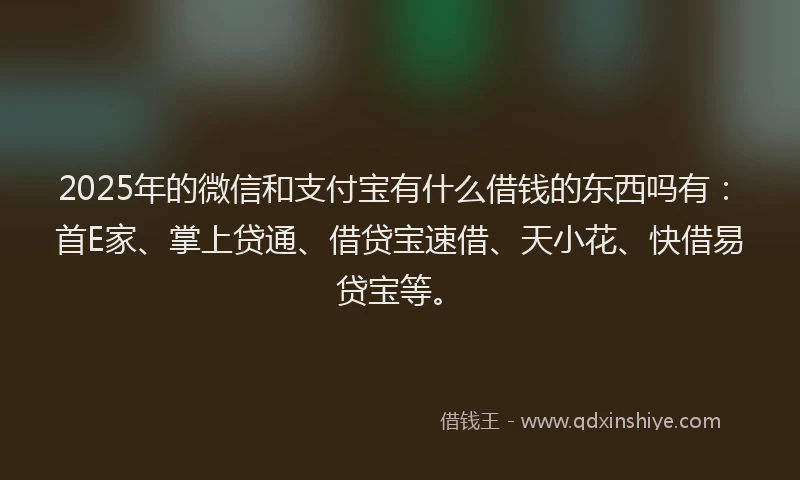 2025年的微信和支付宝有什么借钱的东西吗有：首E家、掌上贷通、借贷宝速借、天小花、快借易贷宝等。