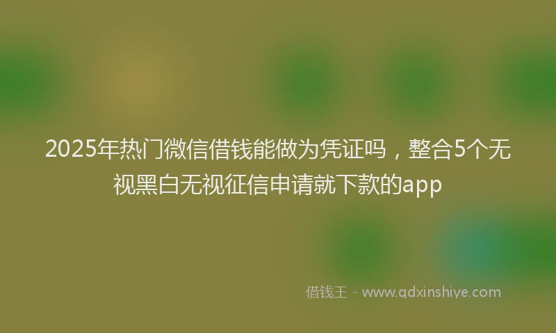 2025年热门微信借钱能做为凭证吗，整合5个无视黑白无视征信申请就下款的app