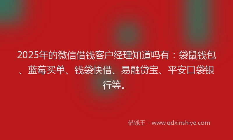 2025年的微信借钱客户经理知道吗有：袋鼠钱包、蓝莓买单、钱袋快借、易融贷宝、平安口袋银行等。