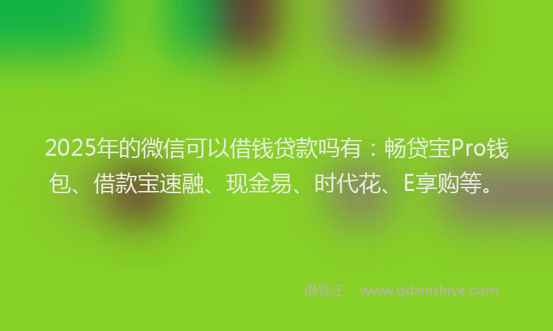 2025年的微信可以借钱贷款吗有：畅贷宝Pro钱包、借款宝速融、现金易、时代花、E享购等。