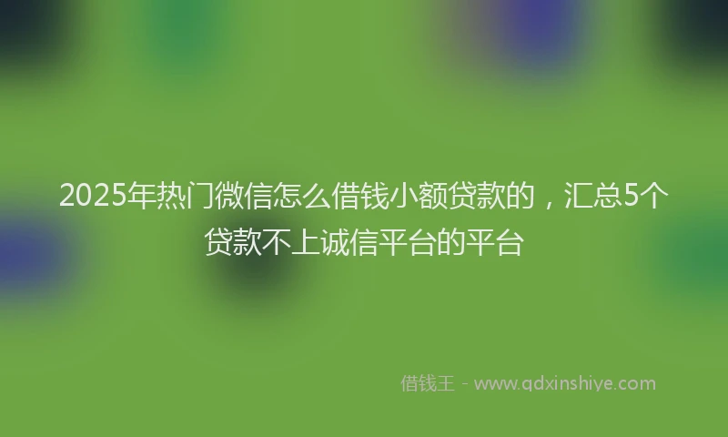 2025年热门微信怎么借钱小额贷款的，汇总5个贷款不上诚信平台的平台