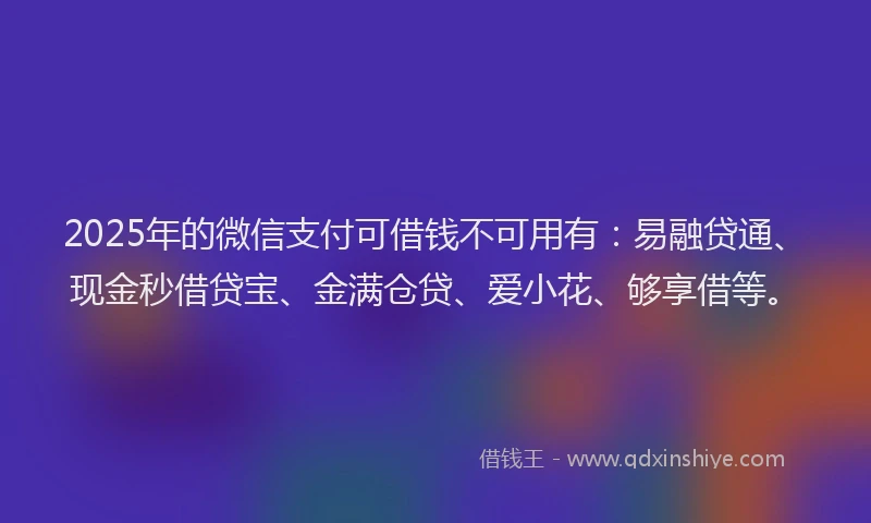 2025年的微信支付可借钱不可用有：易融贷通、现金秒借贷宝、金满仓贷、爱小花、够享借等。