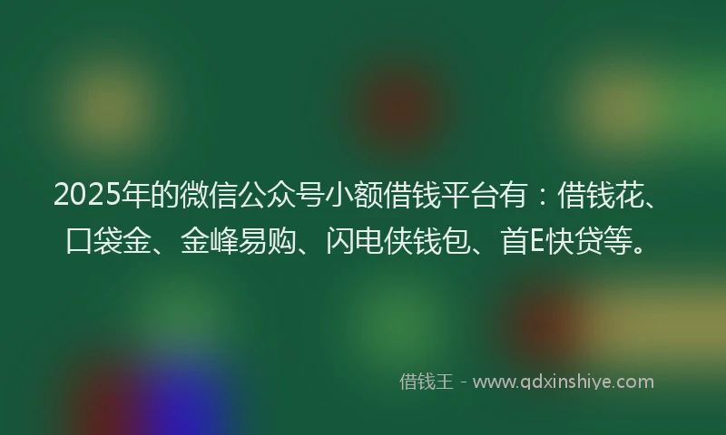 2025年的微信公众号小额借钱平台有：借钱花、口袋金、金峰易购、闪电侠钱包、首E快贷等。