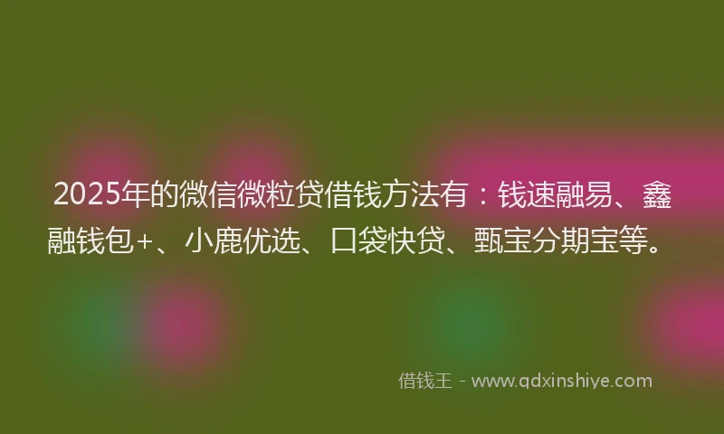 2025年的微信微粒贷借钱方法有：钱速融易、鑫融钱包+、小鹿优选、口袋快贷、甄宝分期宝等。