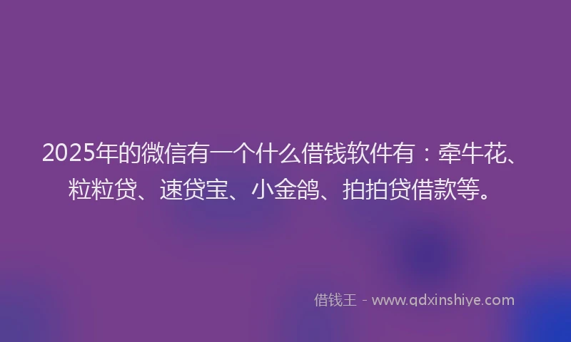 2025年的微信有一个什么借钱软件有：牵牛花、粒粒贷、速贷宝、小金鸽、拍拍贷借款等。