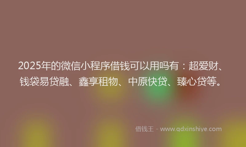 2025年的微信小程序借钱可以用吗有：超爱财、钱袋易贷融、鑫享租物、中原快贷、臻心贷等。