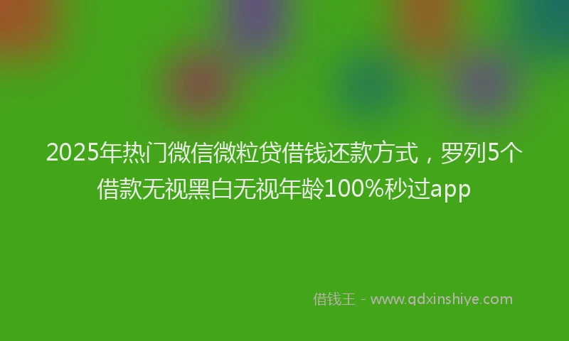 2025年热门微信微粒贷借钱还款方式，罗列5个借款无视黑白无视年龄100%秒过app