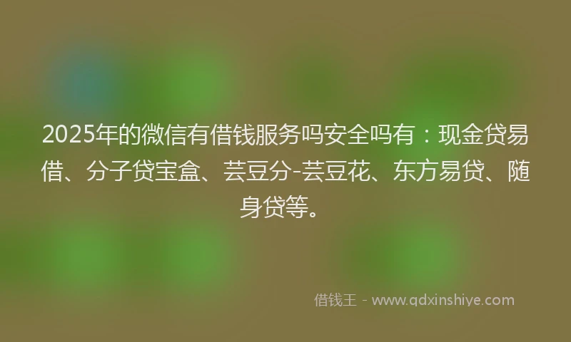 2025年的微信有借钱服务吗安全吗有：现金贷易借、分子贷宝盒、芸豆分-芸豆花、东方易贷、随身贷等。