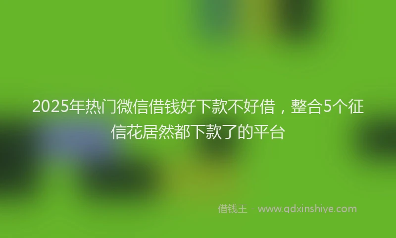 2025年热门微信借钱好下款不好借，整合5个征信花居然都下款了的平台