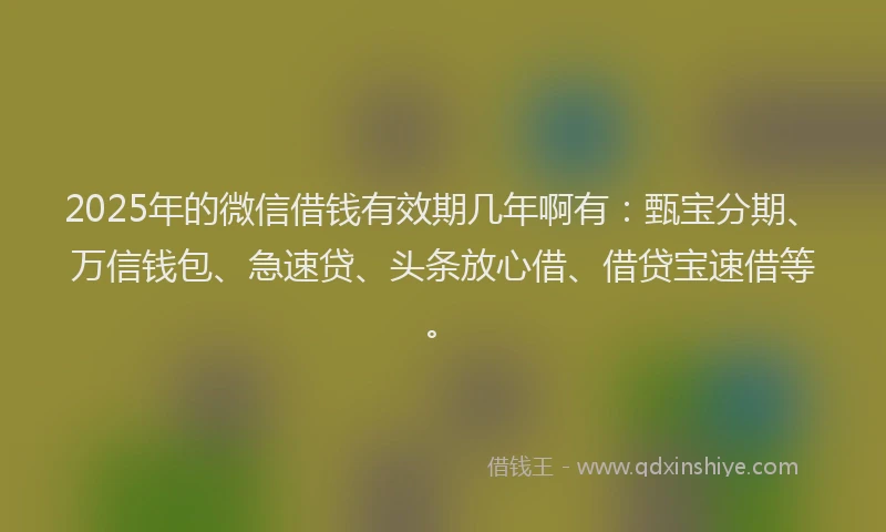 2025年的微信借钱有效期几年啊有：甄宝分期、万信钱包、急速贷、头条放心借、借贷宝速借等。