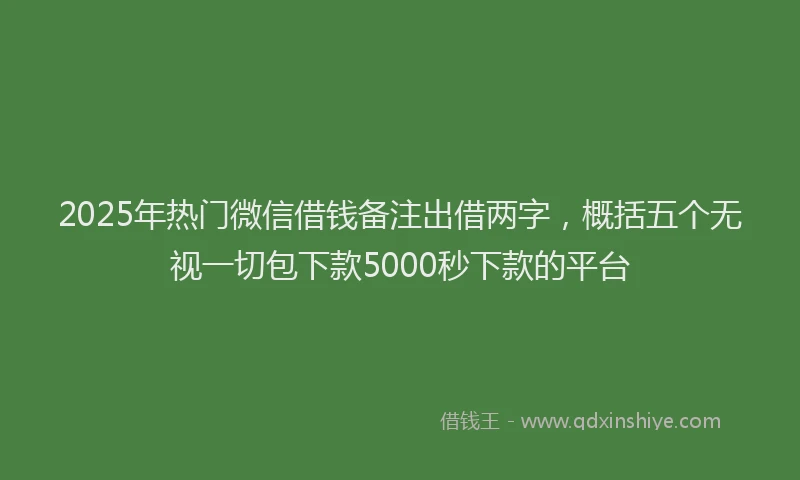 2025年热门微信借钱备注出借两字，概括五个无视一切包下款5000秒下款的平台