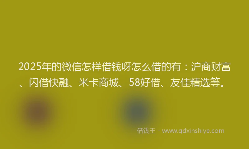 2025年的微信怎样借钱呀怎么借的有：沪商财富、闪借快融、米卡商城、58好借、友佳精选等。