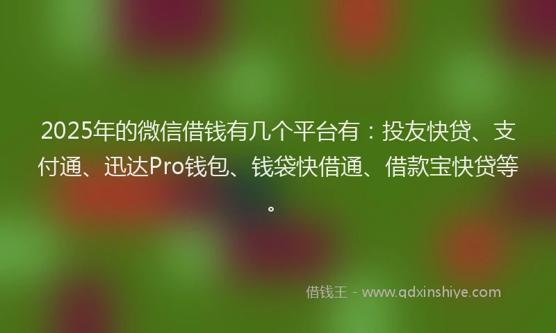 2025年的微信借钱有几个平台有：投友快贷、支付通、迅达Pro钱包、钱袋快借通、借款宝快贷等。