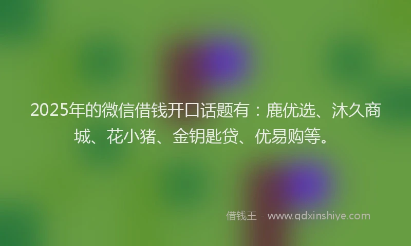 2025年的微信借钱开口话题有：鹿优选、沐久商城、花小猪、金钥匙贷、优易购等。