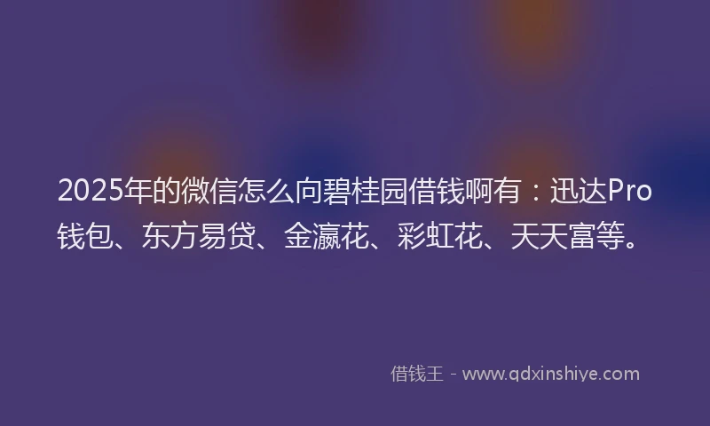 2025年的微信怎么向碧桂园借钱啊有：迅达Pro钱包、东方易贷、金瀛花、彩虹花、天天富等。