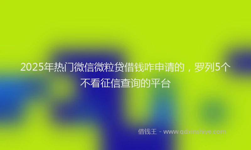2025年热门微信微粒贷借钱咋申请的，罗列5个不看征信查询的平台