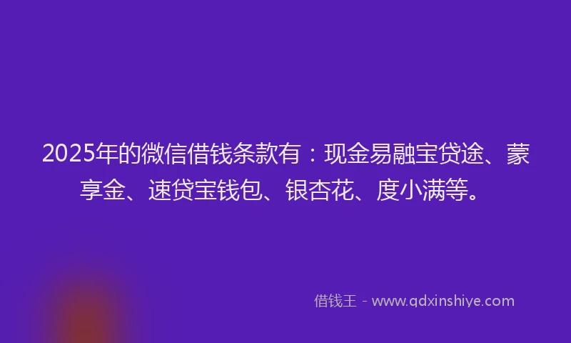 2025年的微信借钱条款有：现金易融宝贷途、蒙享金、速贷宝钱包、银杏花、度小满等。