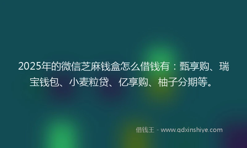 2025年的微信芝麻钱盒怎么借钱有：甄享购、瑞宝钱包、小麦粒贷、亿享购、柚子分期等。