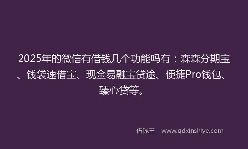 2025年的微信有借钱几个功能吗有：森森分期宝、钱袋速借宝、现金易融宝贷途、便捷Pro钱包、臻心贷等。