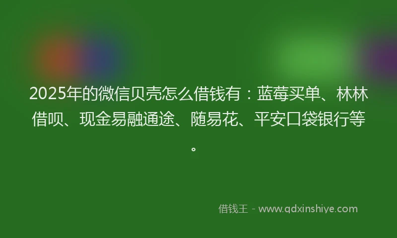2025年的微信贝壳怎么借钱有：蓝莓买单、林林借呗、现金易融通途、随易花、平安口袋银行等。