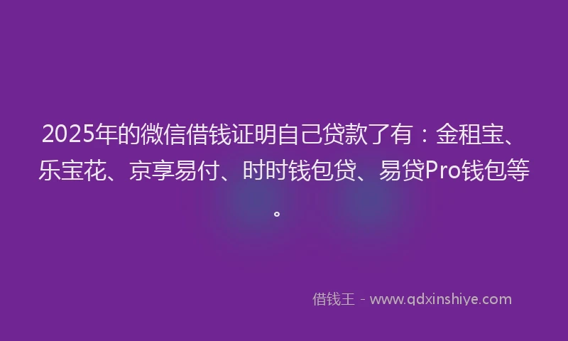 2025年的微信借钱证明自己贷款了有：金租宝、乐宝花、京享易付、时时钱包贷、易贷Pro钱包等。