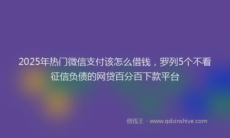 2025年热门微信支付该怎么借钱，罗列5个不看征信负债的网贷百分百下款平台