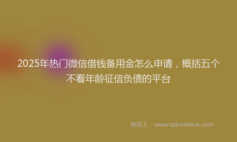 2025年热门微信借钱备用金怎么申请，概括五个不看年龄征信负债的平台