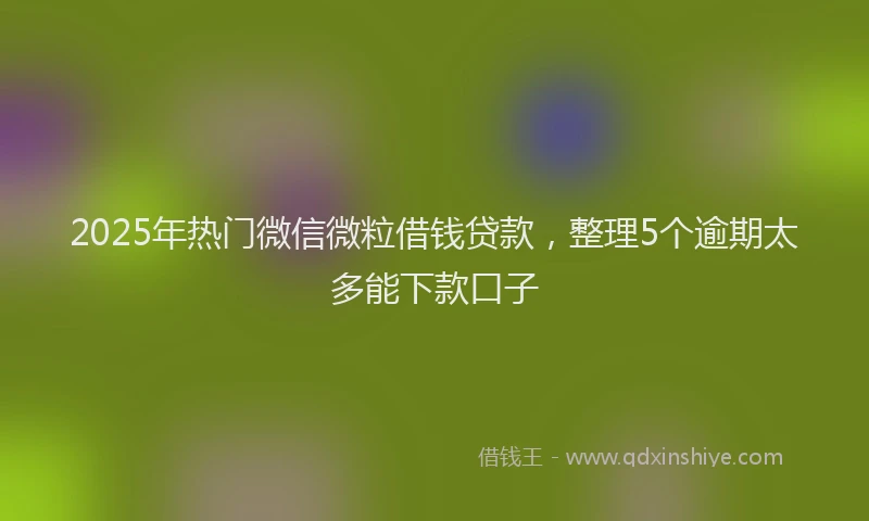 2025年热门微信微粒借钱贷款，整理5个逾期太多能下款口子
