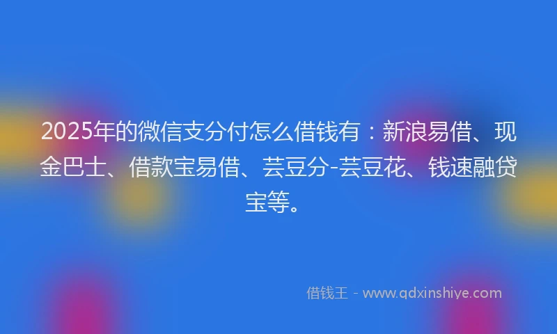 2025年的微信支分付怎么借钱有：新浪易借、现金巴士、借款宝易借、芸豆分-芸豆花、钱速融贷宝等。
