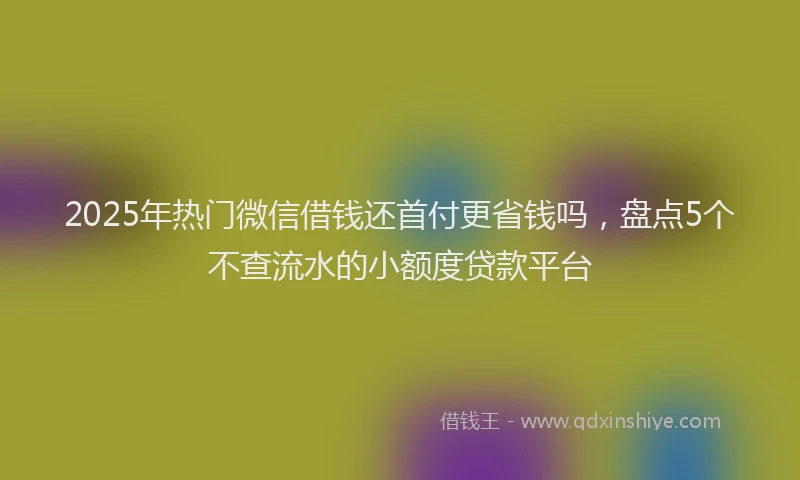 2025年热门微信借钱还首付更省钱吗，盘点5个不查流水的小额度贷款平台