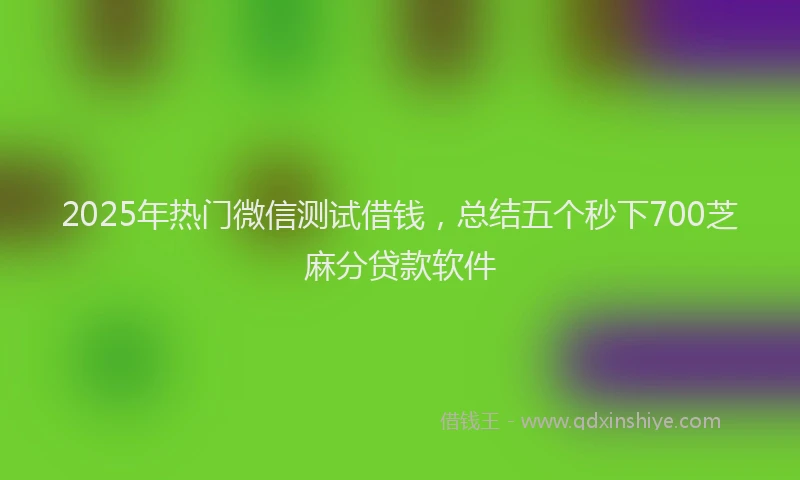 2025年热门微信测试借钱，总结五个秒下700芝麻分贷款软件