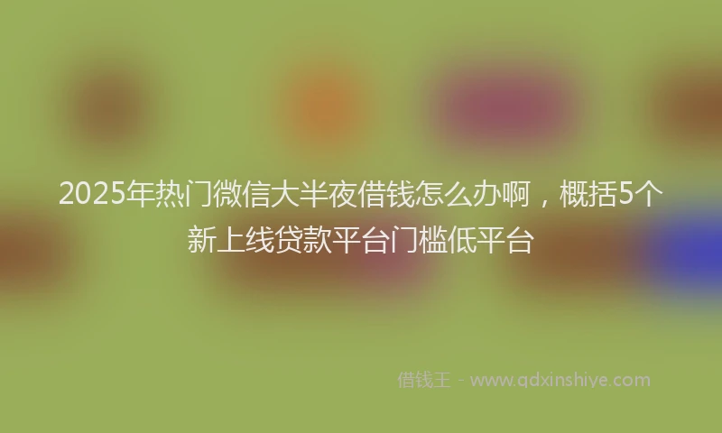 2025年热门微信大半夜借钱怎么办啊，概括5个新上线贷款平台门槛低平台