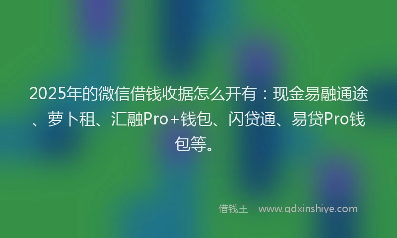 2025年的微信借钱收据怎么开有：现金易融通途、萝卜租、汇融Pro+钱包、闪贷通、易贷Pro钱包等。