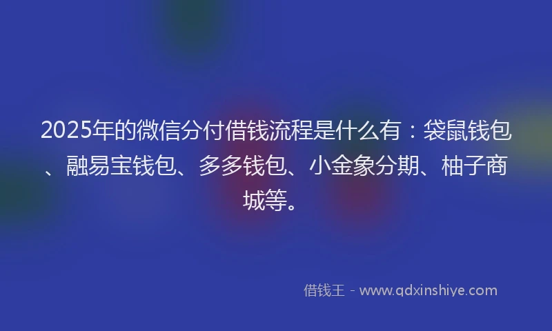 2025年的微信分付借钱流程是什么有：袋鼠钱包、融易宝钱包、多多钱包、小金象分期、柚子商城等。