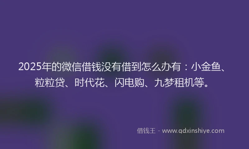 2025年的微信借钱没有借到怎么办有：小金鱼、粒粒贷、时代花、闪电购、九梦租机等。